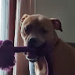 Meet your Posher, Judiv